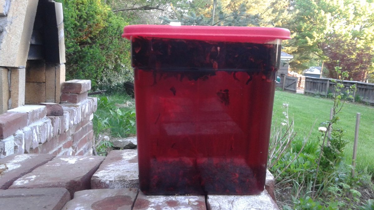 Hibiscus Tea Recipe